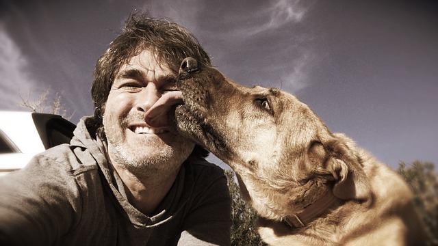 Dog lick face: Why do dogs lick human faces?