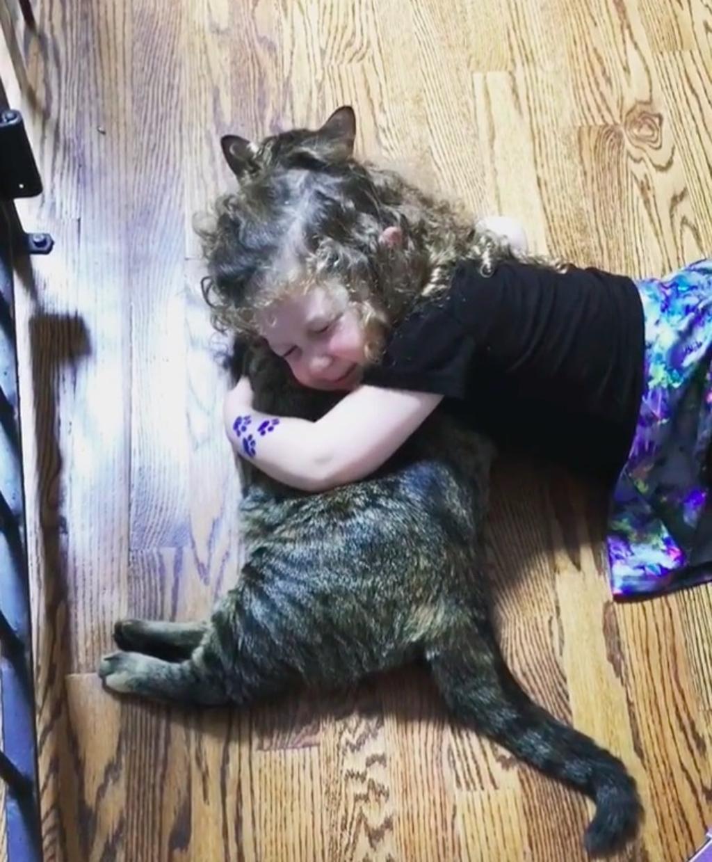 Gatos de tamaño mediano: un gran compañero